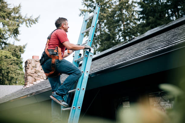 Best Solar Panel Roofing Installation  in East Richmond Heights, CA